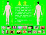 人身穴位图