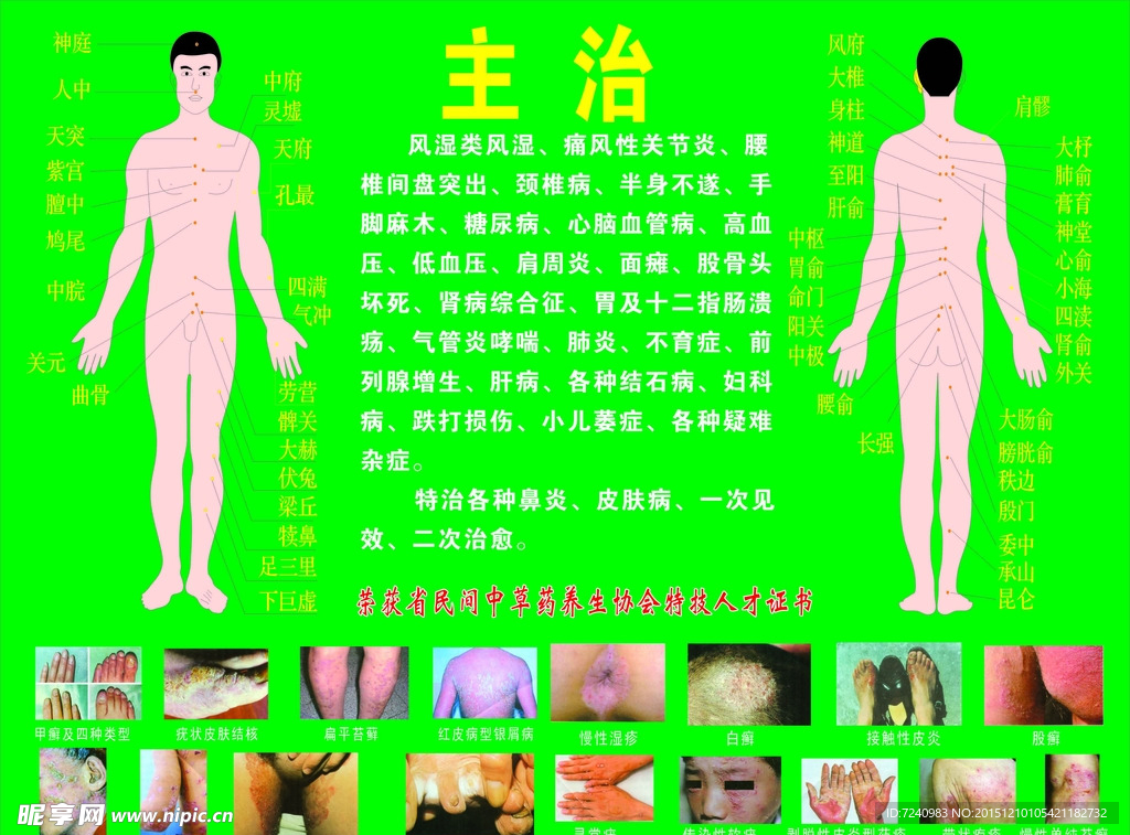 人身穴位图