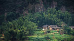 竹林中的小屋