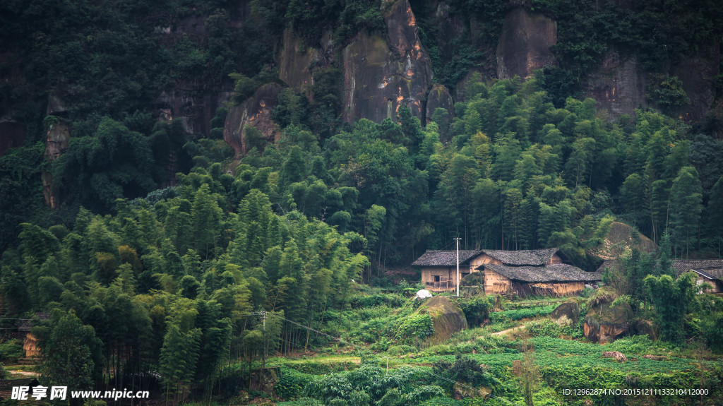 竹林中的小屋