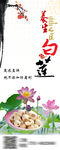 广昌白莲 x展板 易拉宝