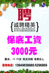 善喜儿招聘