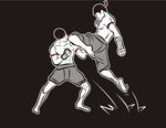 泰拳
