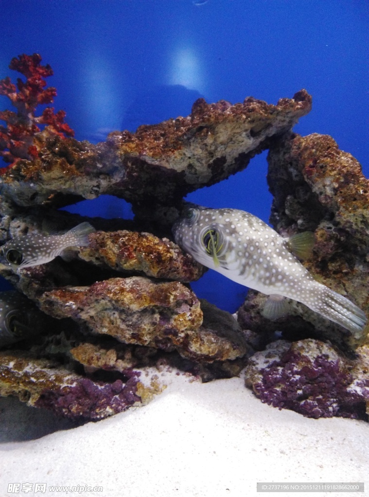 水族馆
