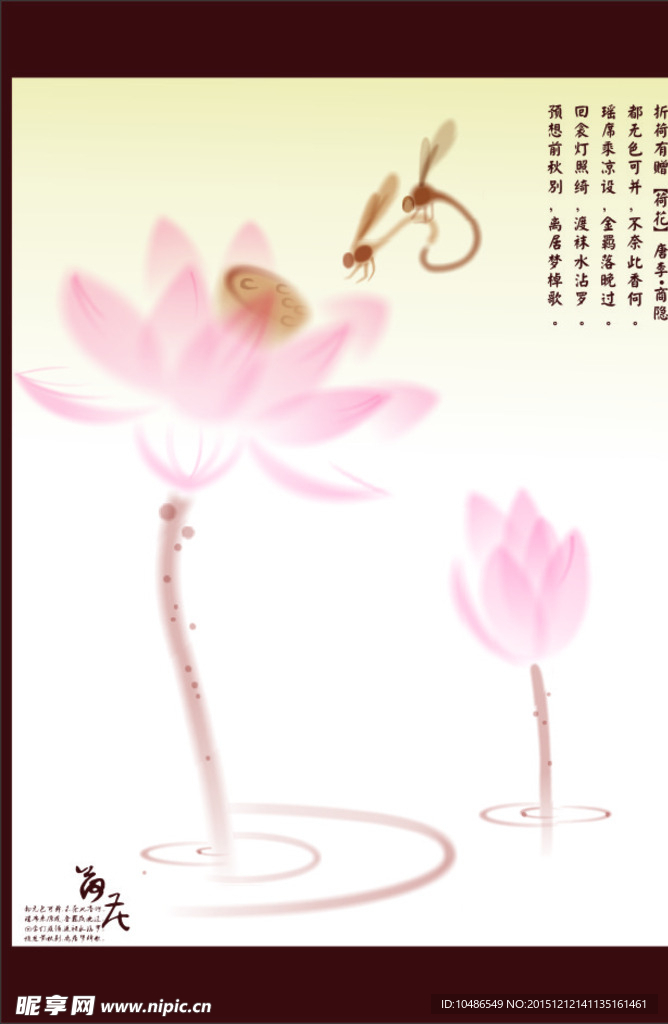 荷花
