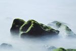 海边风光
