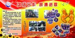 班级展板
