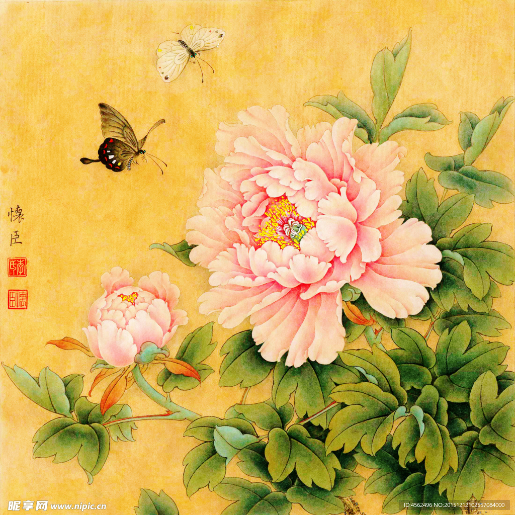 牡丹蝴蝶