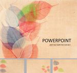 简约PPT   清新PPT