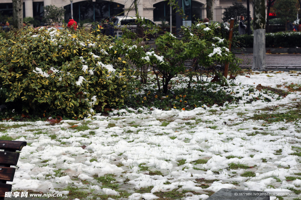 大雪满地