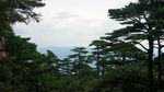 安徽黄山