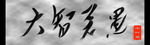 大智若愚