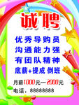 诚聘