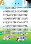 电子 小报 日记 小奶箱