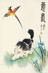 长寿