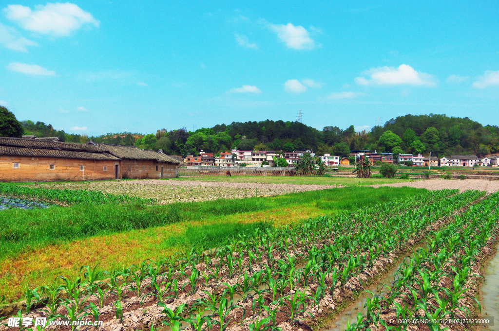 田园风光 围屋人家