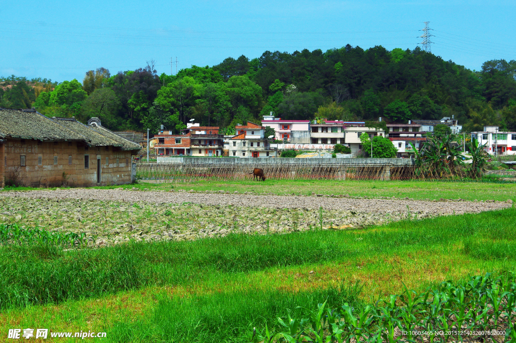 田园山水 公路河桥