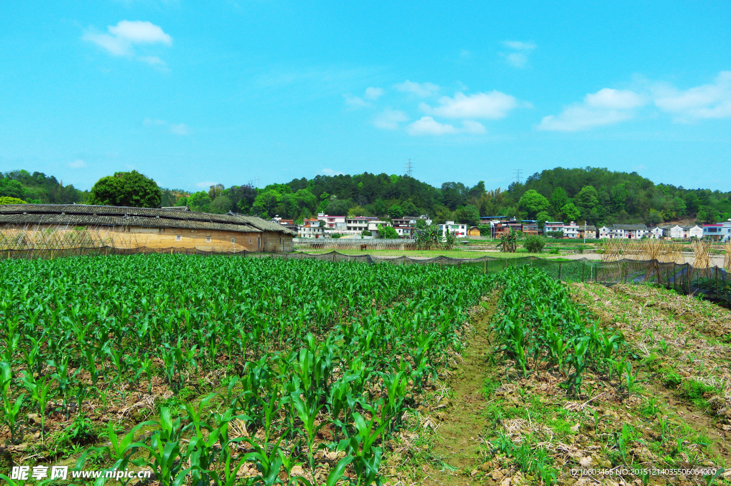 田园风光 围屋人家