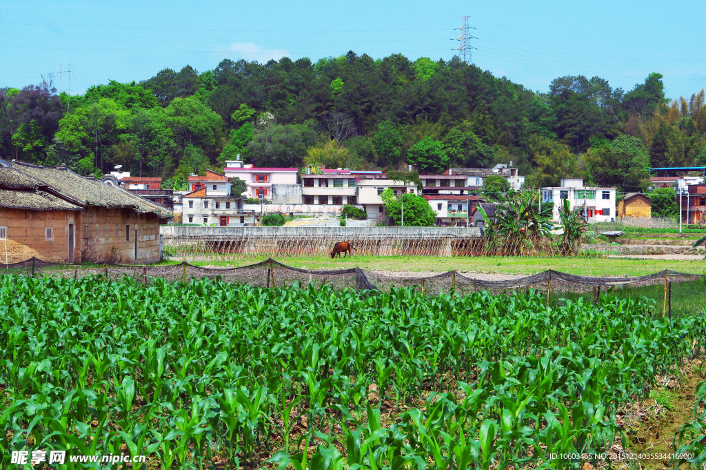 田园风光 乡村民居