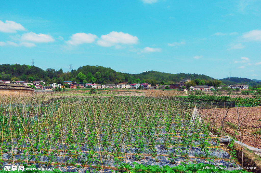 田园风光 乡村人居