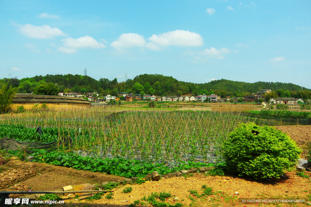 田园屏障 山水风光