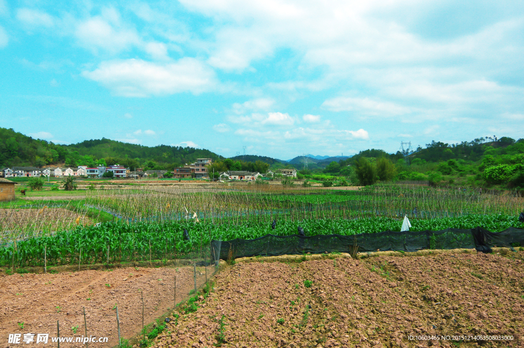 田园屏障 山水风光