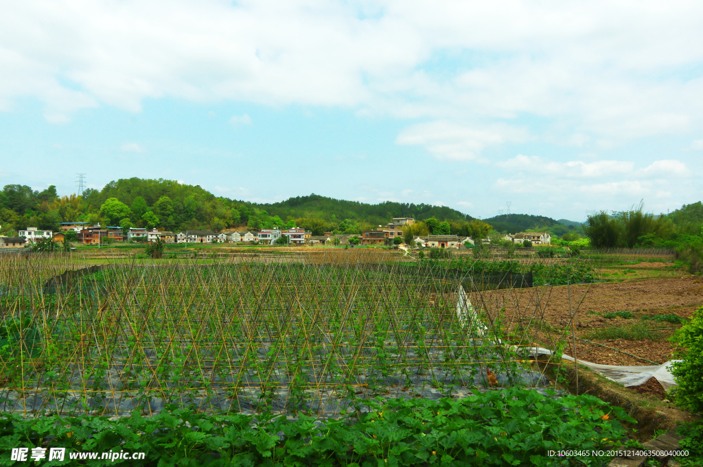 田园屏障 山水风光