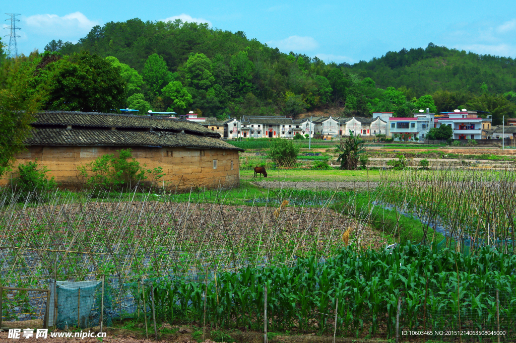 围屋人家 田园山水