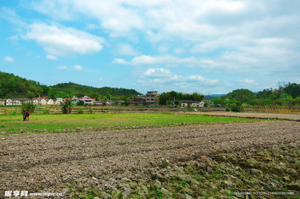 田园屏障 山水风光