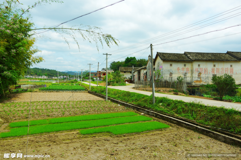 乡村公路 一路民居