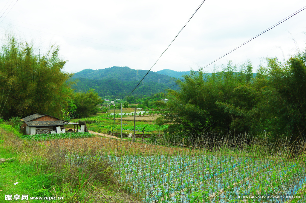 田园风光 山水田园