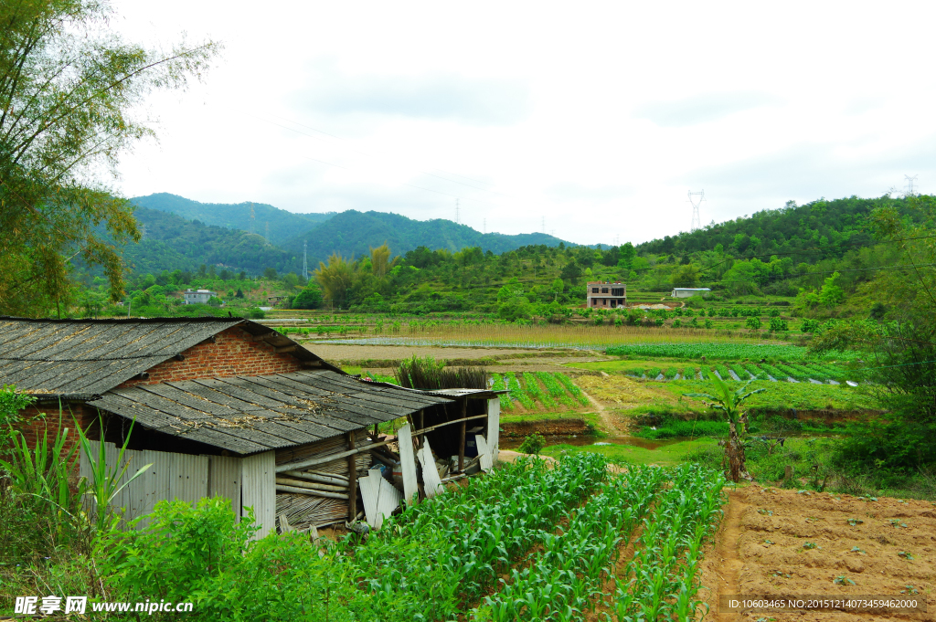 田园山水