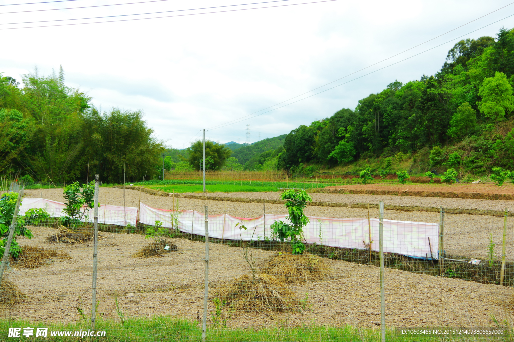 田园风光 乡村旱田