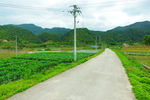 山水田园 田园风光