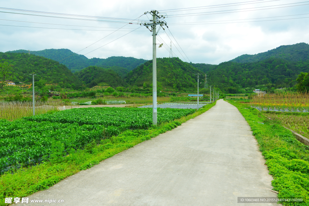 山水田园 田园风光