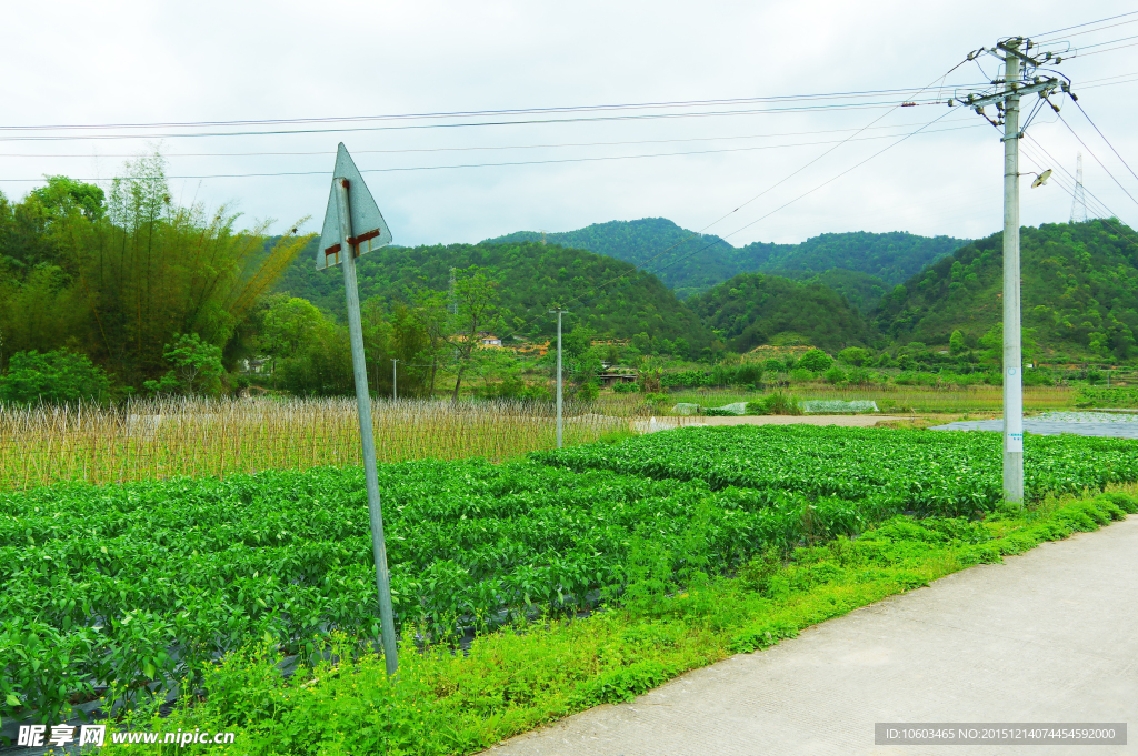 绿色乡村