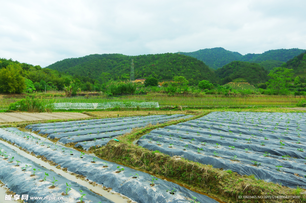 山水田园 田园风光