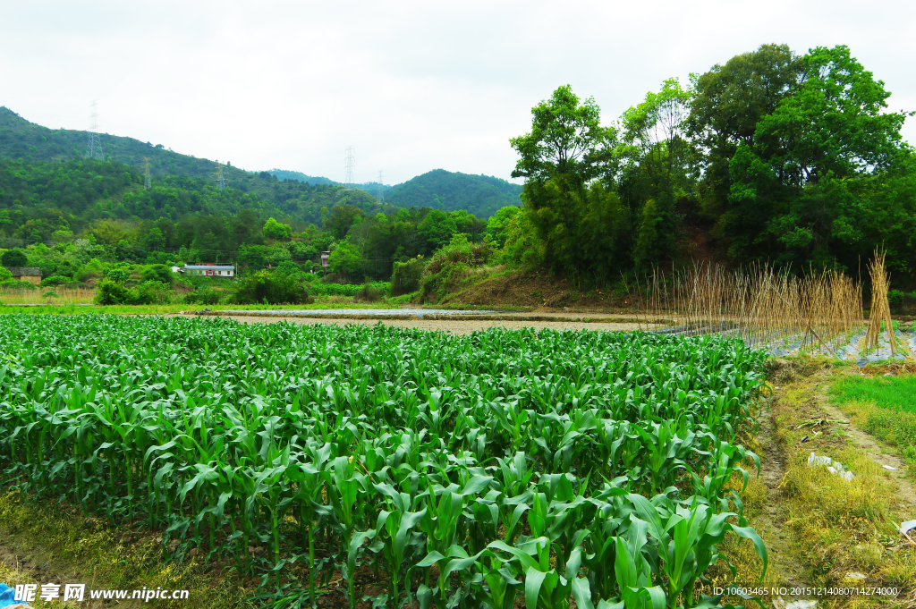 山水田园 田园风光