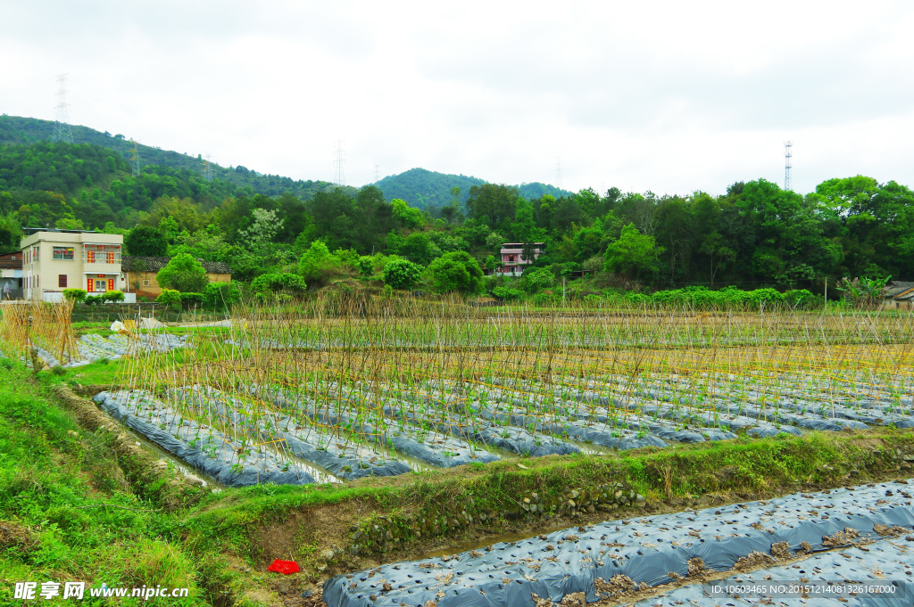 山水田园 田园风光