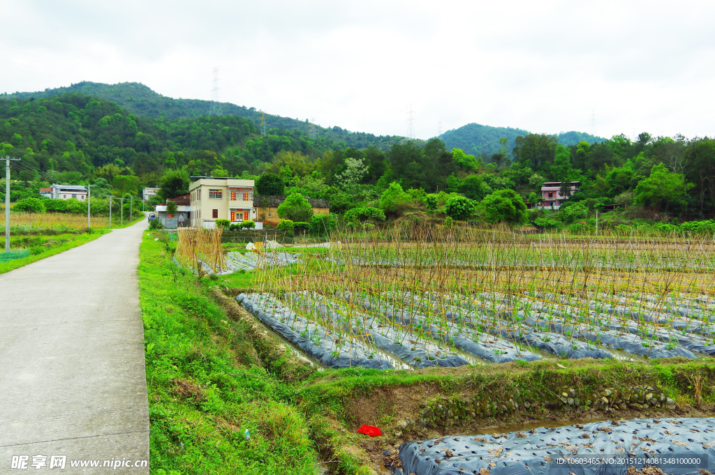 山水田园 田园风光