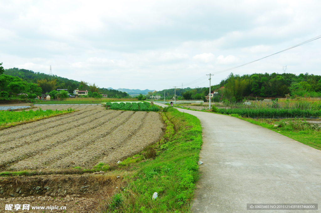 乡村公路 田园风光