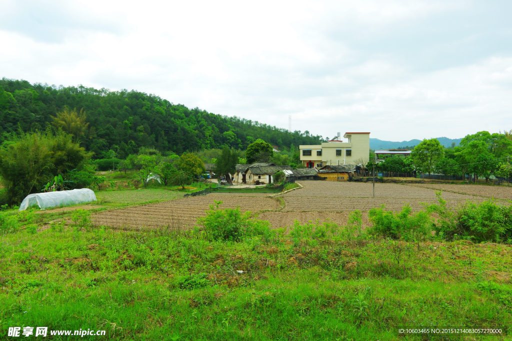 田园风光