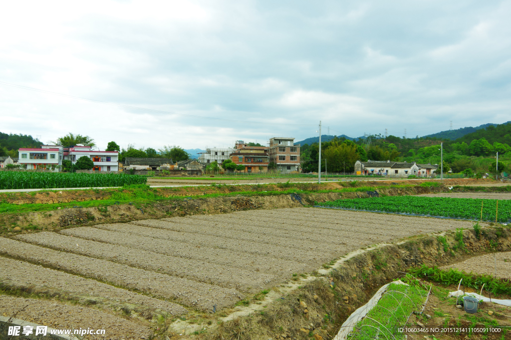 田园风光 蔬菜园地