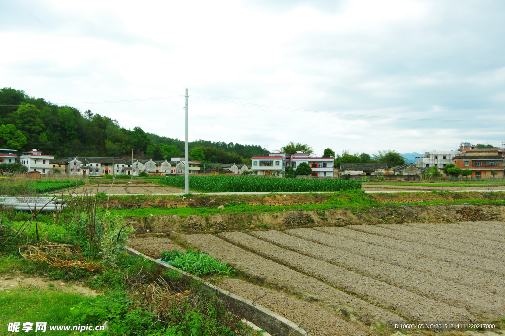 田园风光