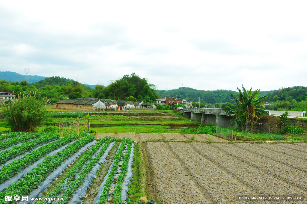 田园风光