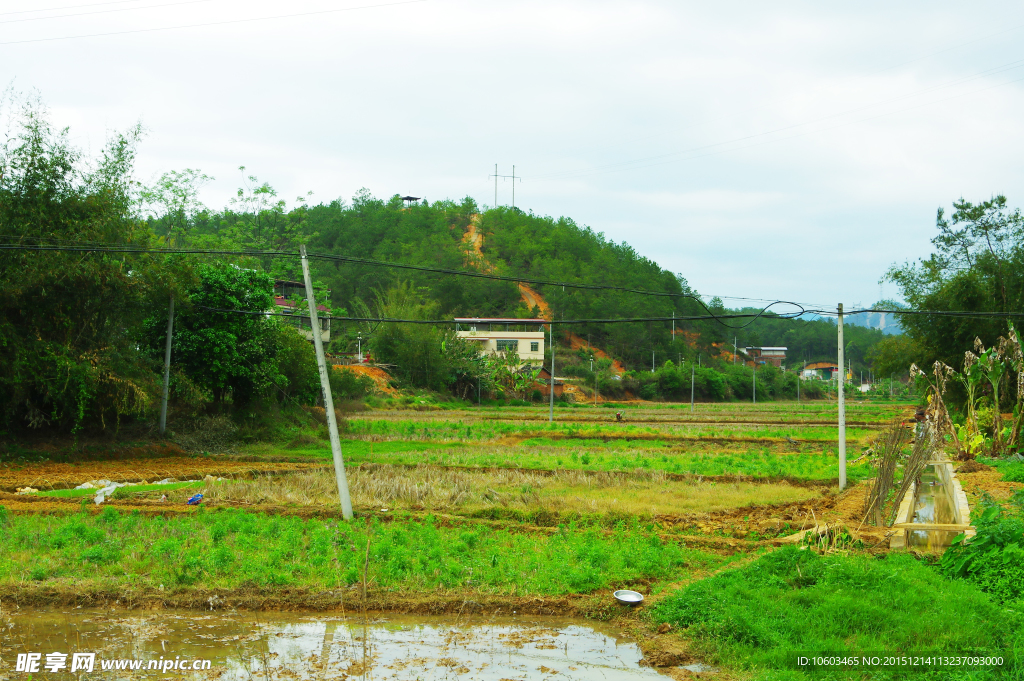 乡村田园