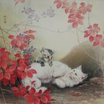 邢诚爱工笔画猫