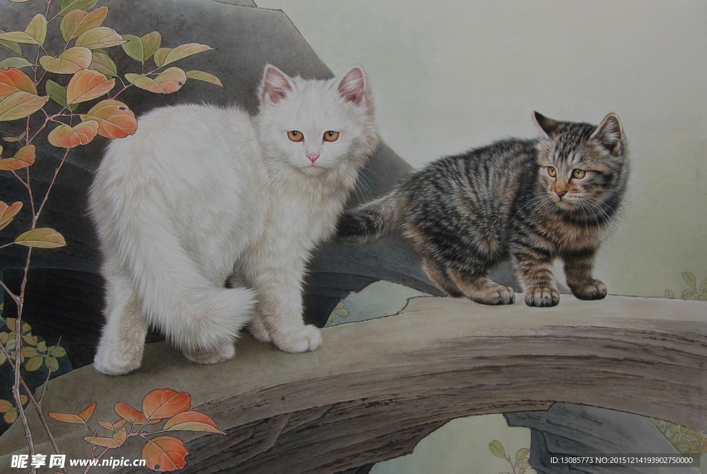 邢诚爱工笔画猫