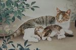 邢诚爱工笔画猫