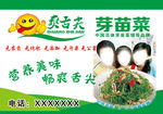芽苗菜素材